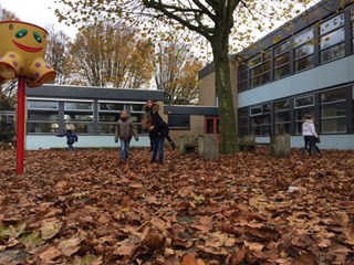 Bladerdeken op het schoolplein